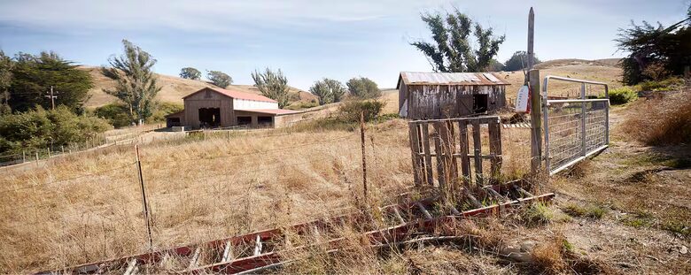 Marin County Regenerative Farm with Artisan Creamery - Petaluma, California