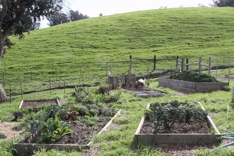 Marin County Regenerative Farm with Artisan Creamery - Petaluma, California