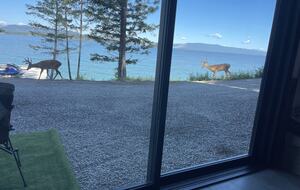 View from main level with deer