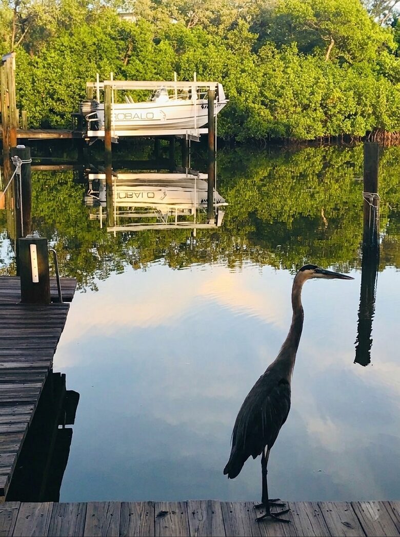 Anna Maria Island Waterfront Retreat with Private Dock - Anna Maria, Florida