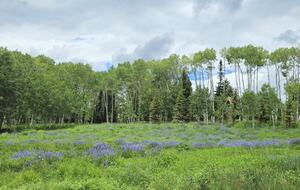 Crested Butte Mountain Retreat Near Meridian Lake - Crested Butte, Colorado