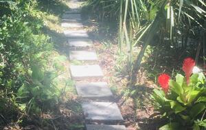 Path leads to shaded trail to the beach!