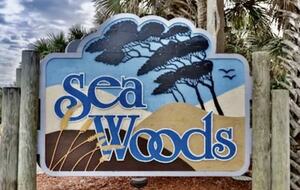Relaxed Beach House in Sea Woods Community - New Smyrna Beach, Florida