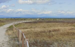 A Coastal Beach House In Boundary Bay, Delta - Delta, Canada