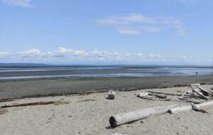 A Coastal Beach House In Boundary Bay, Delta - Delta, Canada