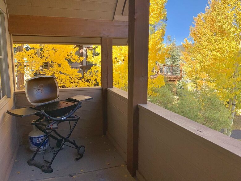 Ski Access Living Near Snowflake Run in Breckenridge - Breckenridge, Colorado