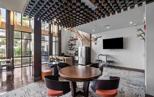 Contemporary City Retreat in Houston - Houston, Texas