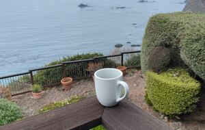 Oceanfront Coastal Sanctuary - Elk, California