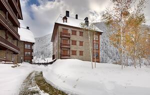 Val de Ruda apartment - Baqueira, Spain