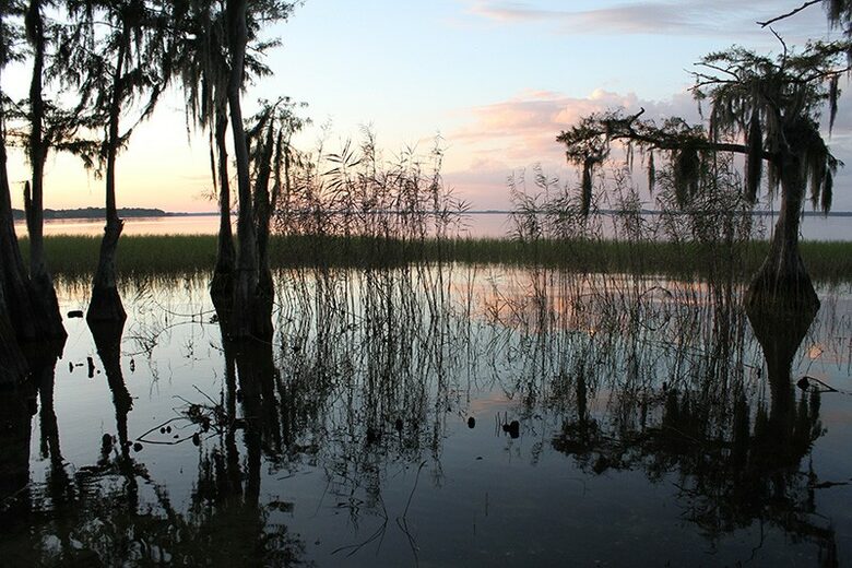 1920s Lake Cottage with Resort Amenities - Yalaha, Florida
