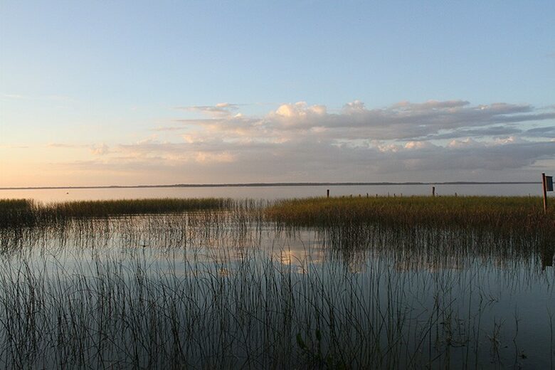 1920s Lake Cottage with Resort Amenities - Yalaha, Florida