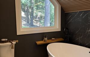 A-Frame Modern Mountain Retreat in Lake Arrowhead - Lake Arrowhead, California
