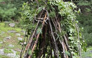 Private Catskills Log Retreat Near Woodstock - Bearsville, New York
