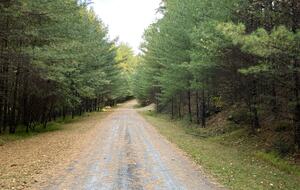 Private Catskills Log Retreat Near Woodstock - Bearsville, New York