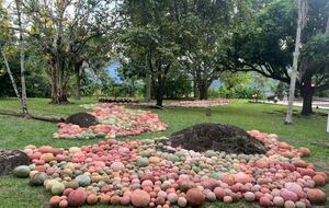 Luxury Villa Pool and garden - Bolombolo, Colombia