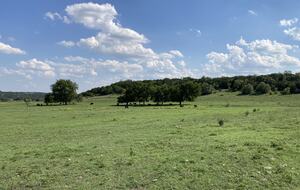 Secluded Texas Ranch Retreat with Panoramic Views - Goldthwaite, Texas