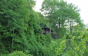 Blue Ridge Cabin with Panoramic Views & Wraparound Decks - Maggie Valley, North Carolina