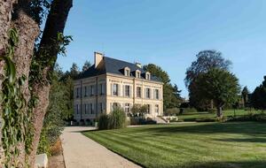 View from the garden