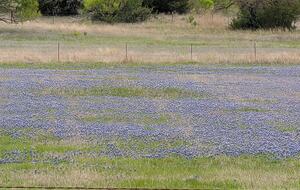 Secluded Texas Ranch Retreat with Panoramic Views - Goldthwaite, Texas