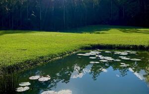Deer Park Estate | 340° National Park Views from a Private 20-Acre Estate - Lemon Tree, Australia
