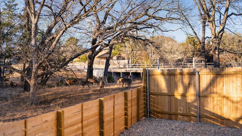 Contemporary Texas Retreat with Resort Backyard - Round Rock, Texas