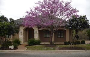 The Owners Club at Barton Creek - Three Bedroom Residence - Austin, Texas