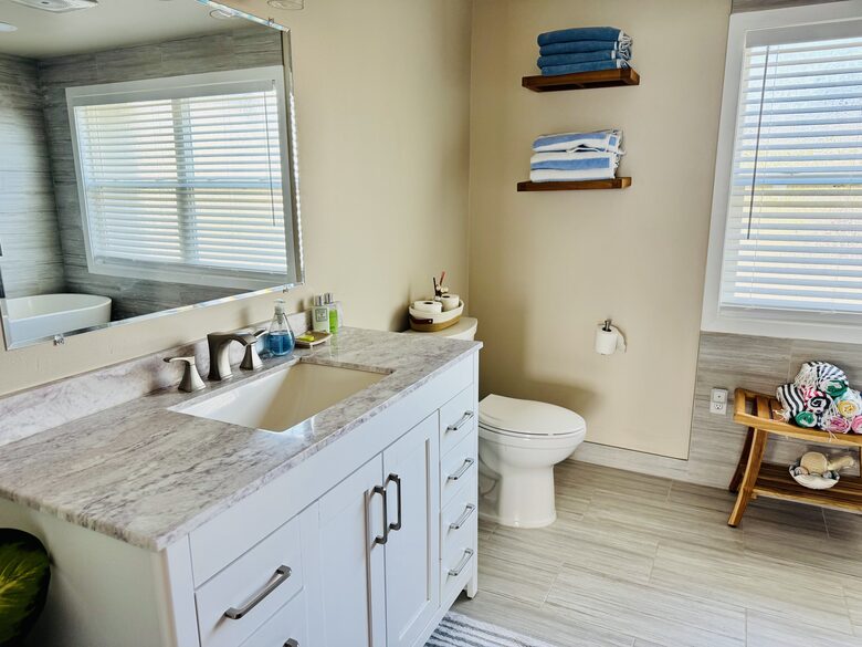 Guest bathroom (downstairs)