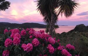 Privates Ferienhaus auf Stewart Island mit Blick auf die Bucht und Spa – Oban, Neuseeland