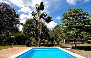 Private Jungle Villa • Pool • Walk to Beach • Ocean Views - Puerto Jiménez Canton, Costa Rica
