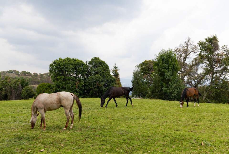 Horse Ranch Near Mexico City - Ixtapan de la Sal, Mexico
