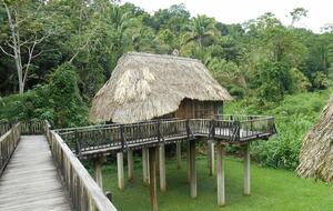 Jade Jungle Resort | All-Inclusive Eco-Luxury Full Resort on 300-Acre Private Reserve - Teakettle, Belize
