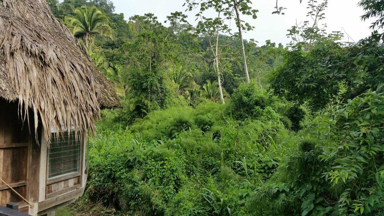 Jade Jungle Resort | All-Inclusive Eco-Luxury Full Resort on 300-Acre Private Reserve - Teakettle, Belize