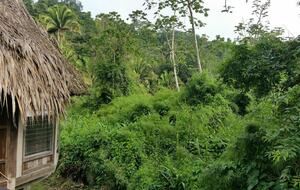 Jade Jungle Resort | All-Inclusive Eco-Luxury Full Resort on 300-Acre Private Reserve - Teakettle, Belize