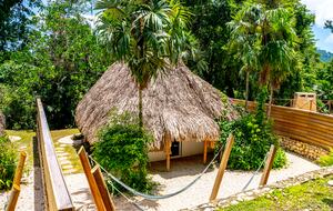 Jade Jungle Resort | All-Inclusive Eco-Luxury Full Resort on 300-Acre Private Reserve - Teakettle, Belize
