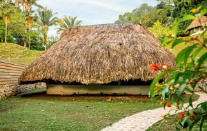 Jade Jungle Resort | All-Inclusive Eco-Luxury Full Resort on 300-Acre Private Reserve - Teakettle, Belize