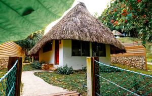 Jade Jungle Resort | All-Inclusive Eco-Luxury Full Resort on 300-Acre Private Reserve - Teakettle, Belize