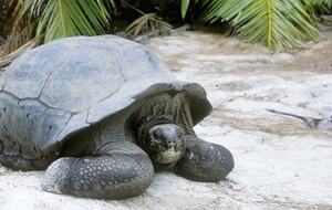 All-Inclusive 7-night TradeWinds AQUA Experience in Seychelles on TW60 Catamaran with Crew- Shared - Victoria, Seychelles