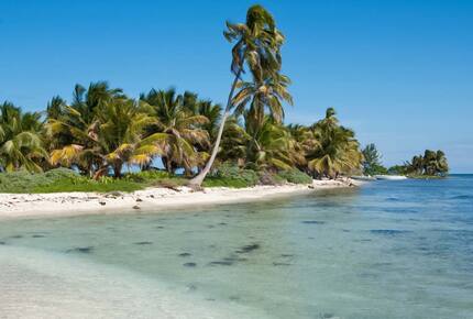 All-Inclusive 7-night TradeWinds AQUA Experience in Belize on TW59 Catamaran with Crew - Placencia, Belize