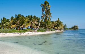 All-Inclusive 7-night TradeWinds AQUA Experience in Belize on TW59 Catamaran with Crew - Placencia, Belize