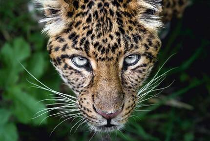 All-Inclusive 7-night TradeWinds AQUA Experience in Belize on TW59 Catamaran with Crew - Placencia, Belize