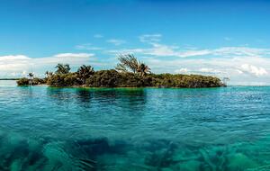 All-Inclusive 7-night TradeWinds AQUA Experience in Belize on TW59 Catamaran with Crew - Placencia, Belize