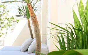 Nyang Nyang Hideaway | A Refined Two Bedroom Villa - Badung, Indonesia