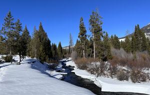 Downhill, cross country, skate skiing and snowshoeing minutes away.