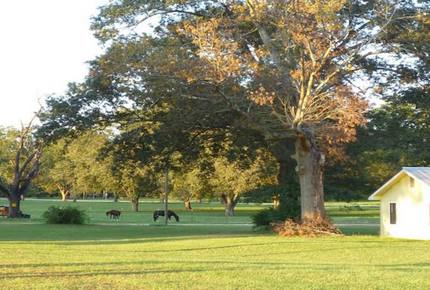 Augusta Golf Tournament Farmhouse Retreat - Hephzibah, Georgia