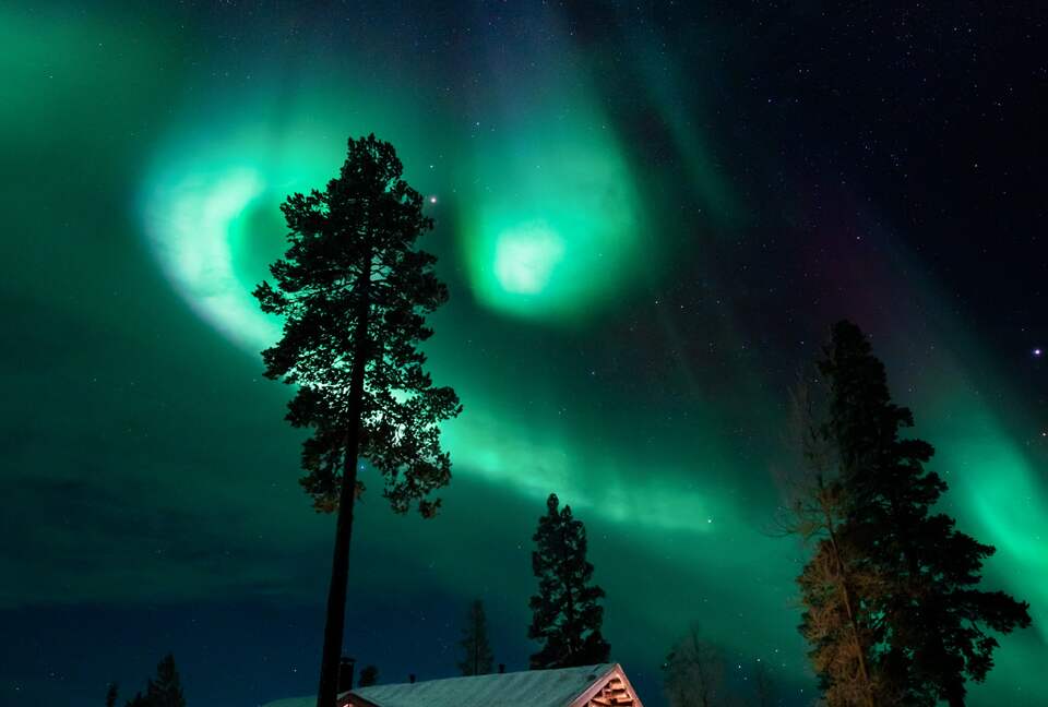 A Refined Aurora Retreat Above the Arctic Circle - Levi, Finland