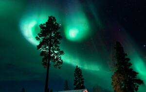 A Refined Aurora Retreat Above the Arctic Circle - Levi, Finland