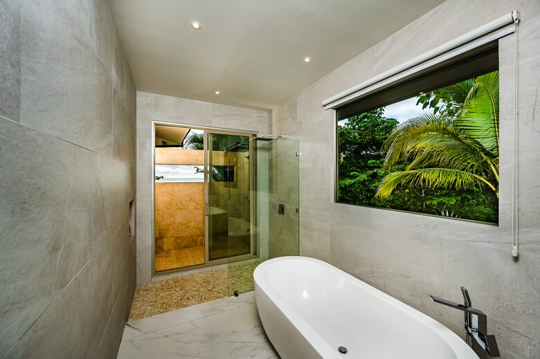Master Showers with Tub and View