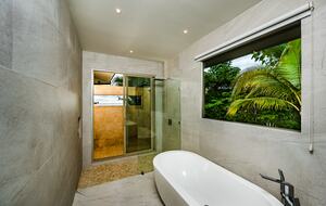 Master Showers with Tub and View