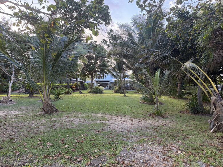 Tropical North Queensland Beachfront Retreat - Wongaling Beach, Australia