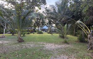 Tropical North Queensland Beachfront Retreat - Wongaling Beach, Australia